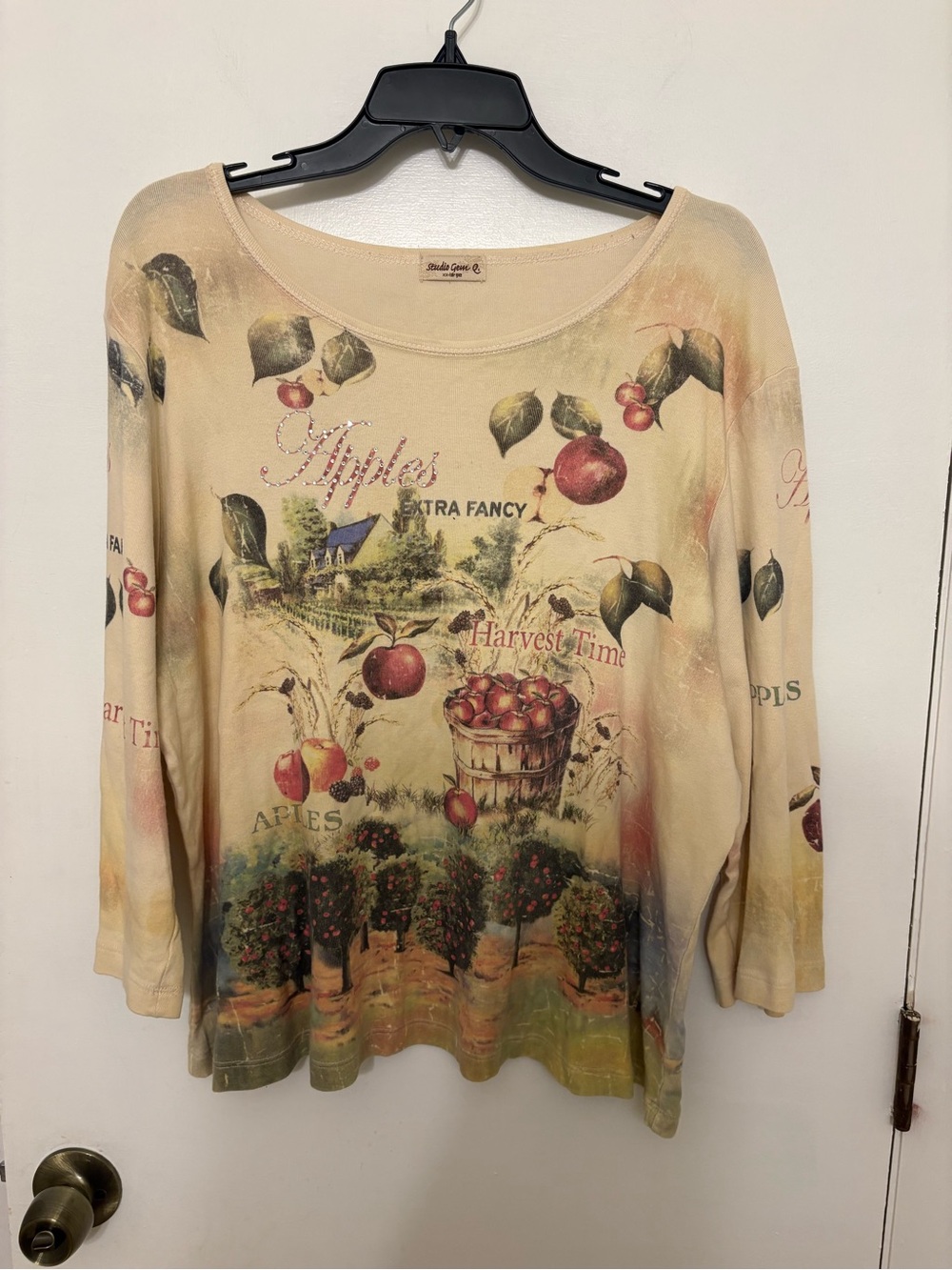 Vtg Studio Gem Q Y2K Apple Harvest Graphic Top XXL Rhinestone Cottagecore Fall